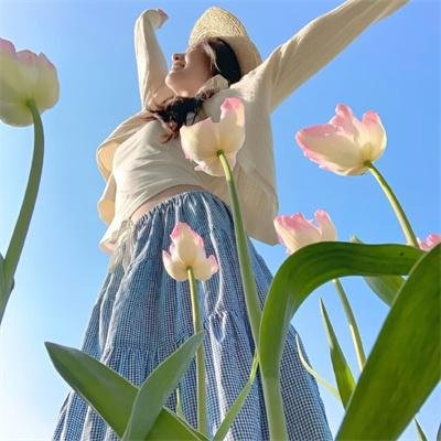 加菲猫:农场大冒险